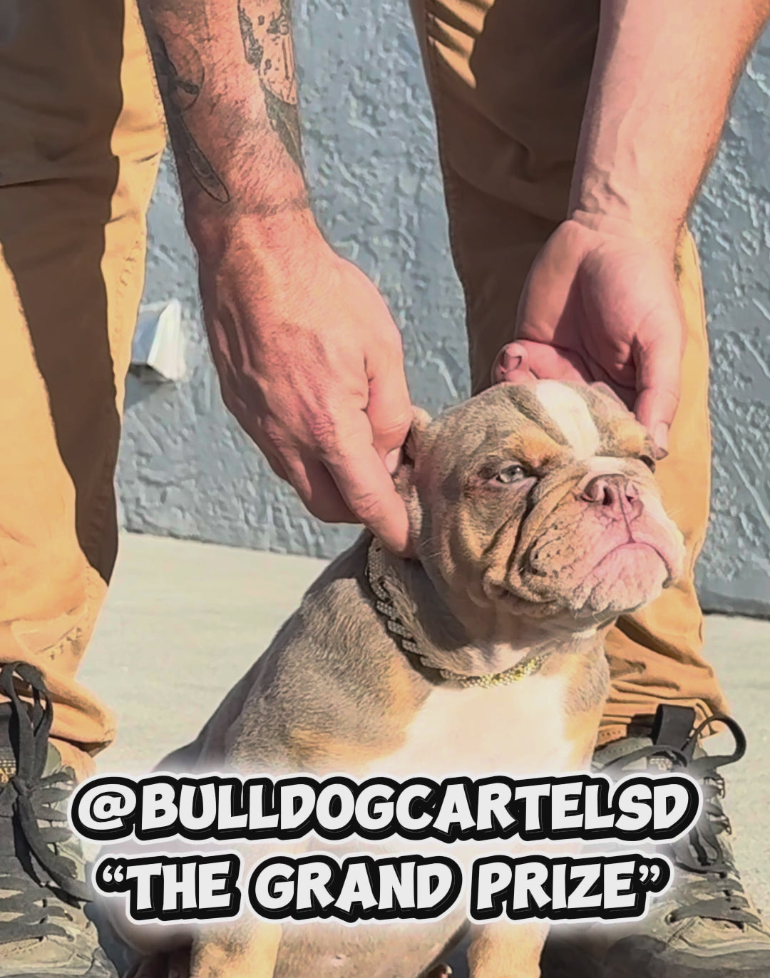 Load video: 